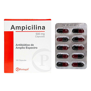 AMPICILINA 500mg CÁPSULA